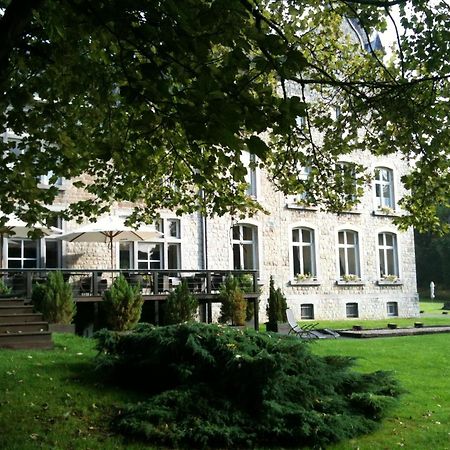 Chateau D'Hassonville Aye Ngoại thất bức ảnh