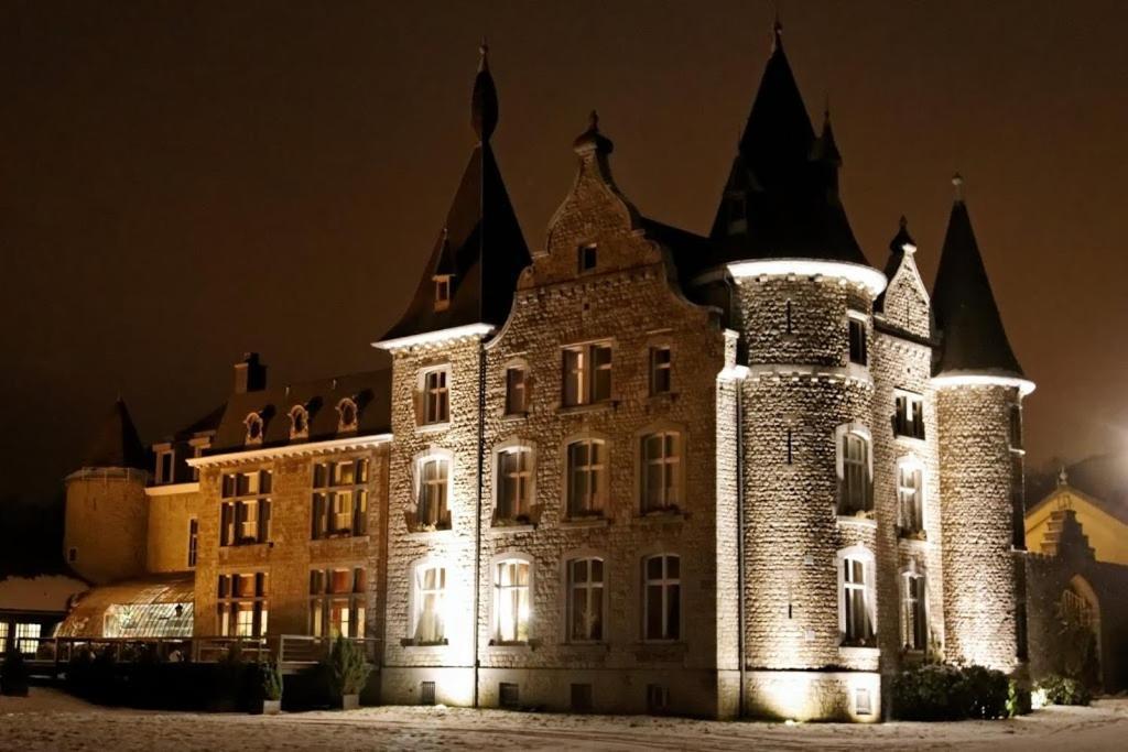 Chateau D'Hassonville Aye Ngoại thất bức ảnh