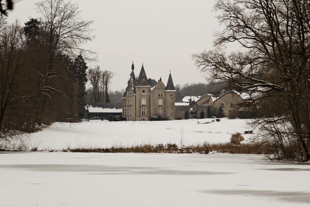 Chateau D'Hassonville Aye Ngoại thất bức ảnh