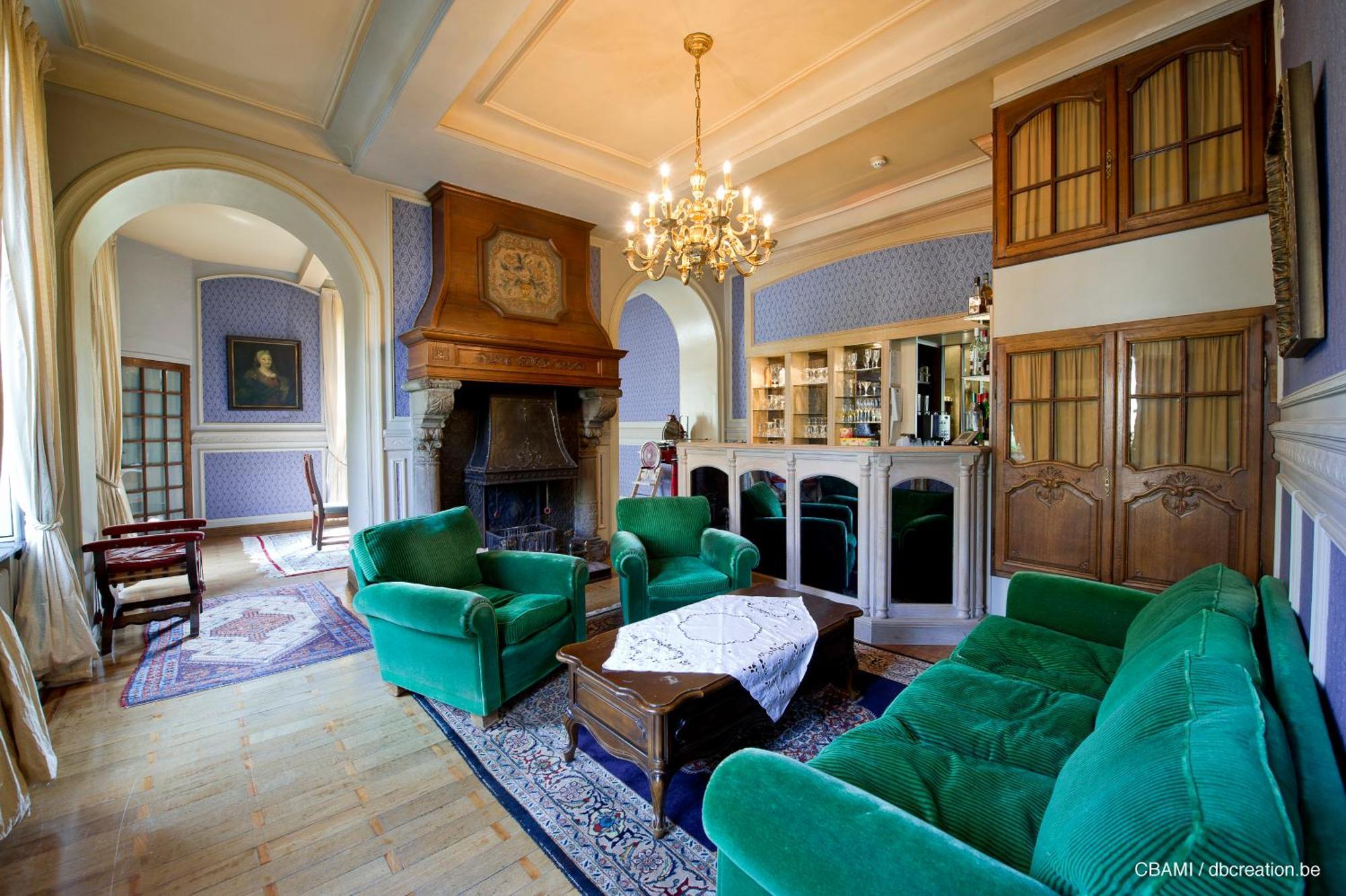 Chateau D'Hassonville Aye Ngoại thất bức ảnh