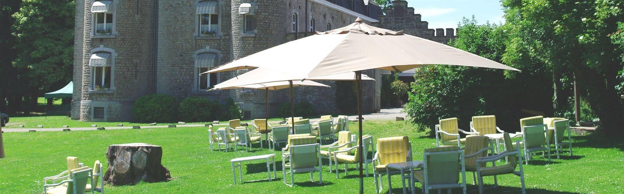 Chateau D'Hassonville Aye Ngoại thất bức ảnh