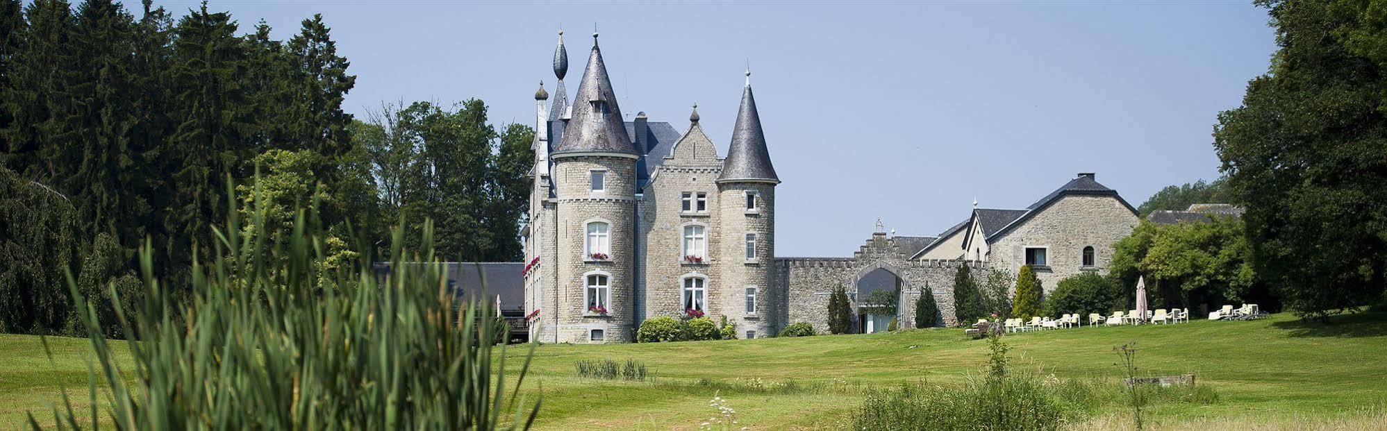 Chateau D'Hassonville Aye Ngoại thất bức ảnh